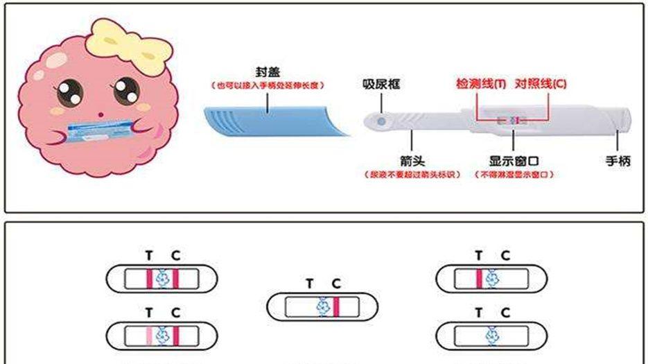 验孕试纸怎么用.jpeg