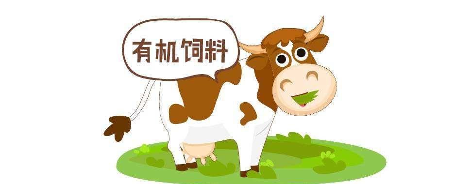 有机奶粉的优点.jpeg