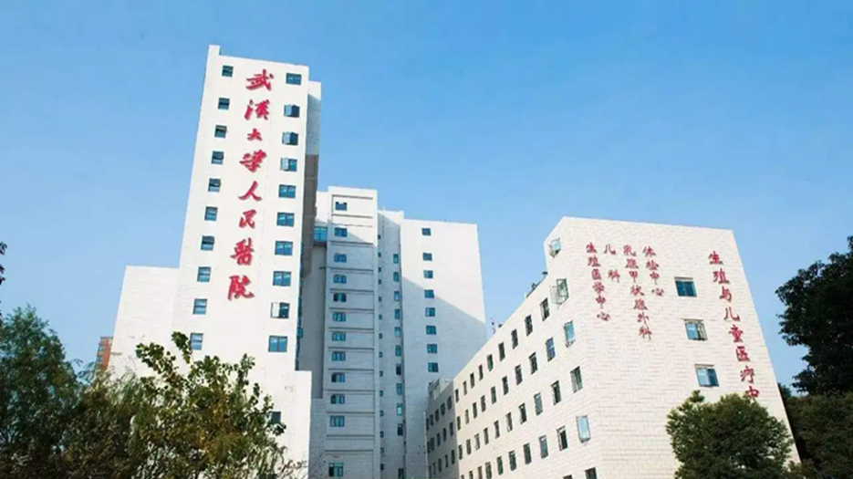 武汉大学人民医院.png