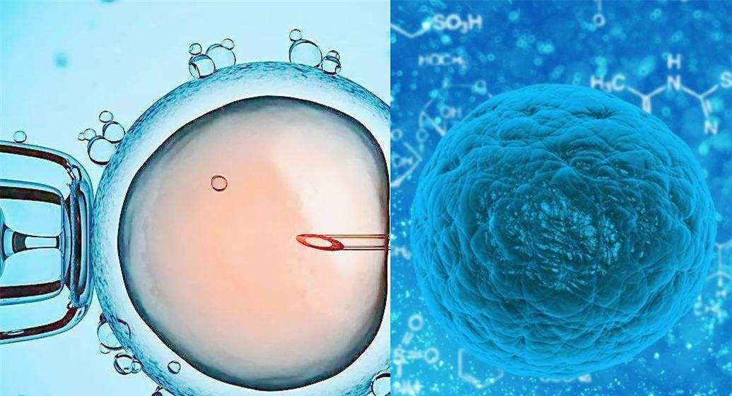 2022最新湖南试管婴儿医院排名最好.jpeg