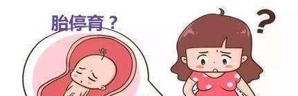孕早期饥饿感强烈有可能胎停.jpeg