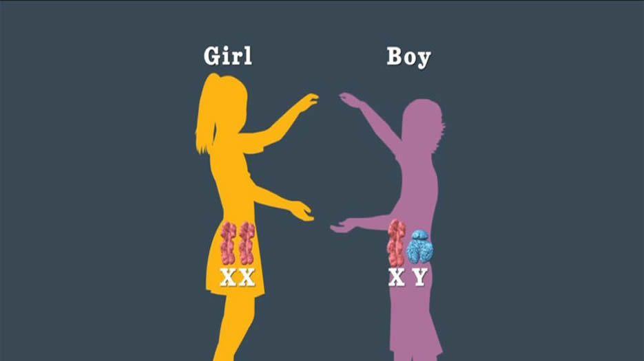 婴儿图片