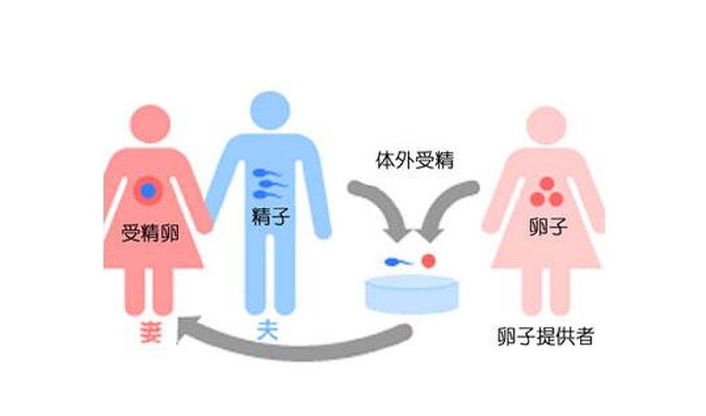 4b8ea9250ab446c10ba145c26fc0cc6d.jpeg
