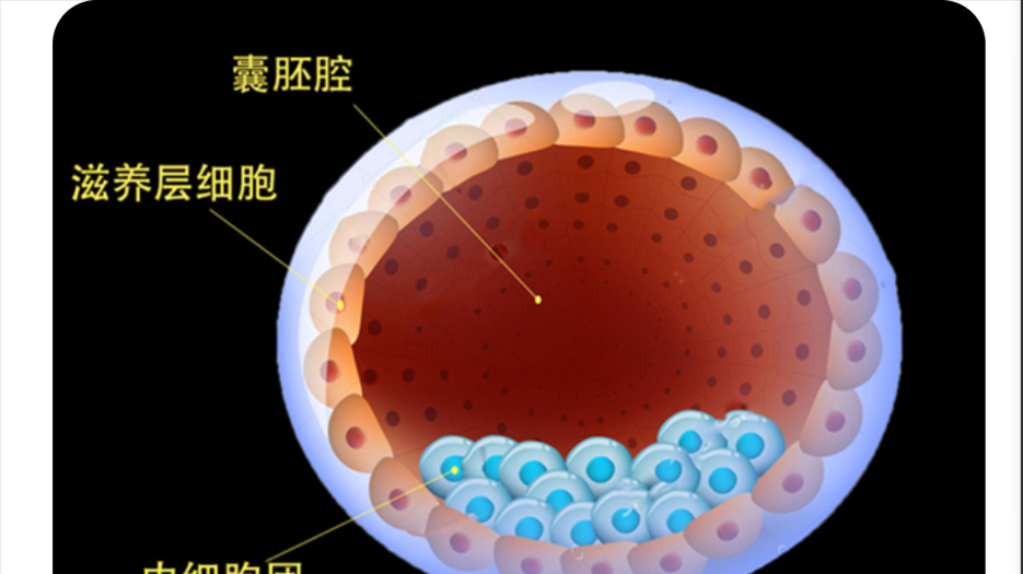 微信图片_20220513102203.png
