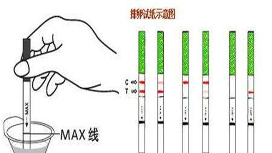 验孕试纸 (1).jpeg