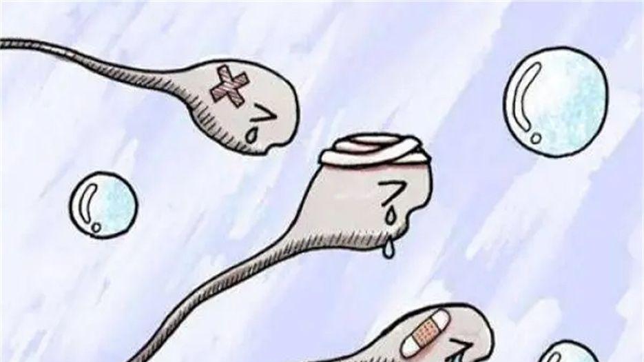 受伤精子.jpg