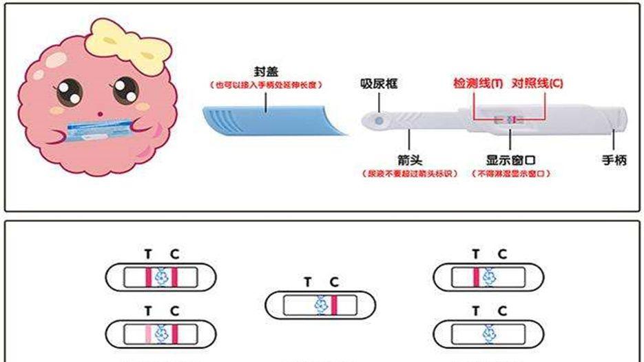 验孕棒 (1)_副本.jpg