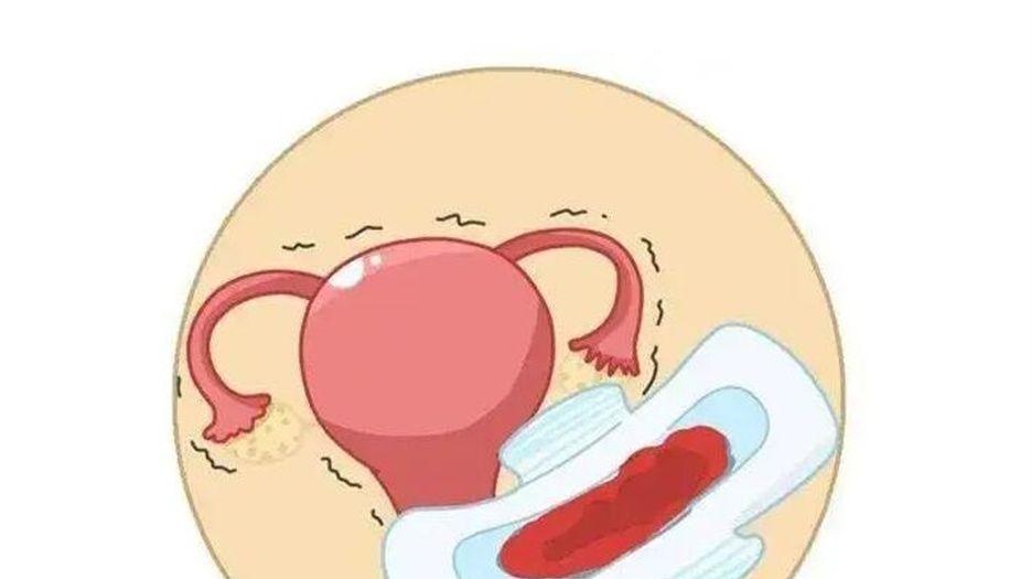 排卵期出血 (3).jpg