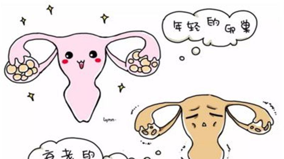 卵巢早衰.jpg