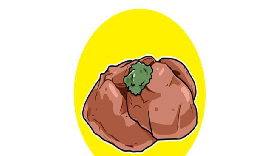肝脏.jpeg