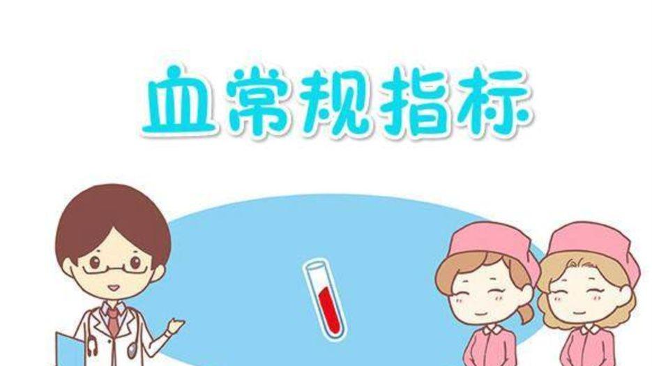 血常规.jpeg