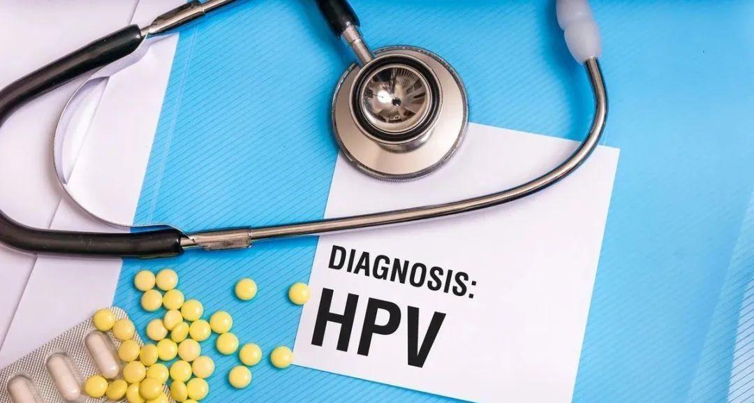 hpv3_副本.jpg