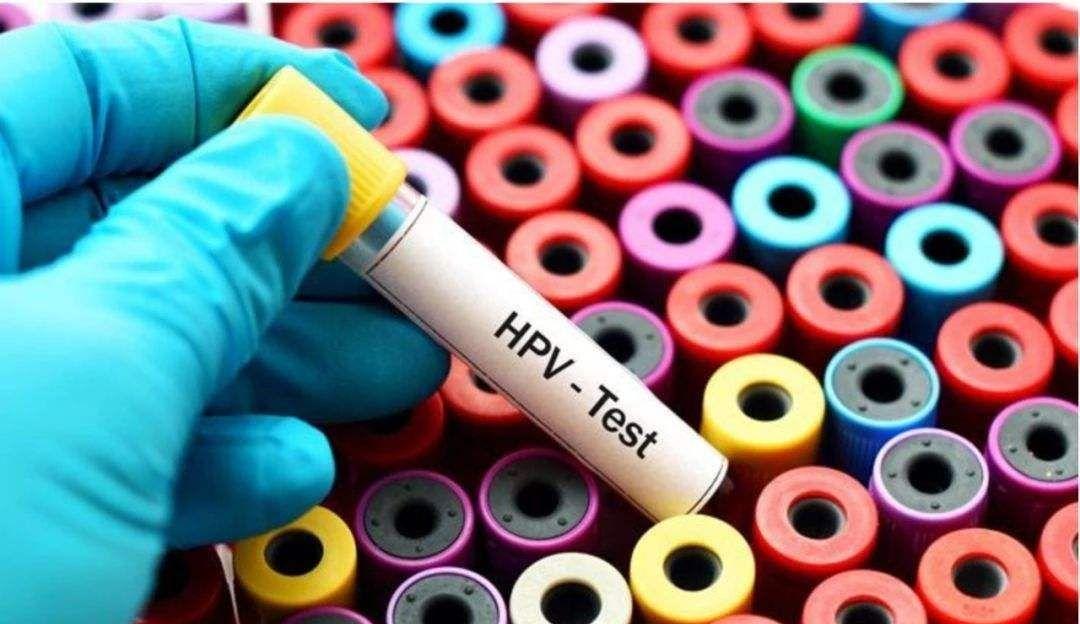 hpv4.jpeg