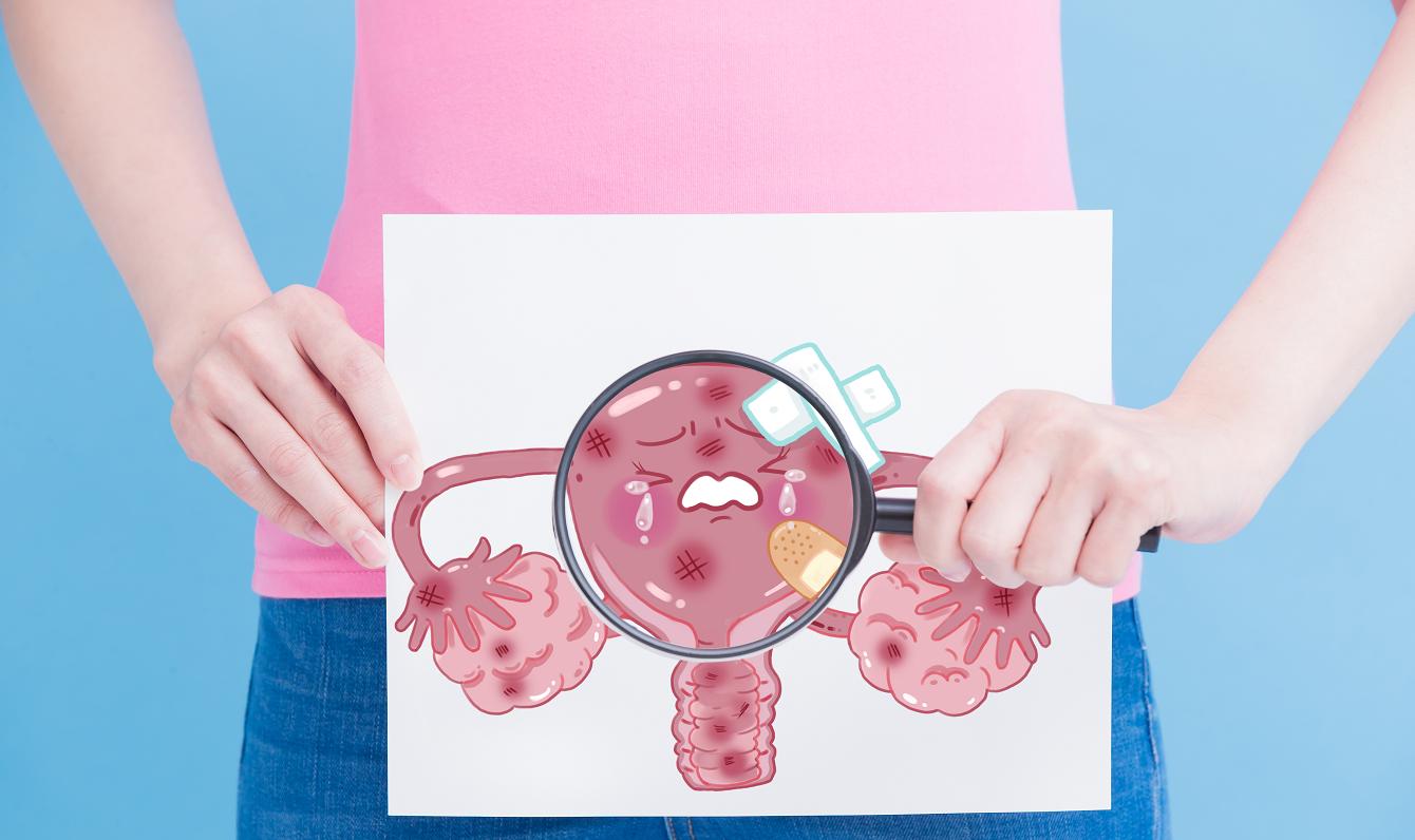 hpv2.jpeg