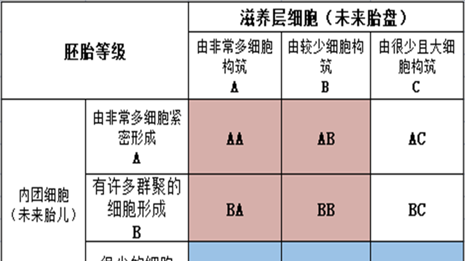 囊胚评级.png