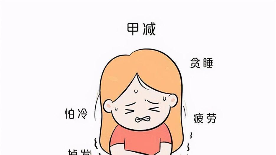 甲减 (1).jpeg
