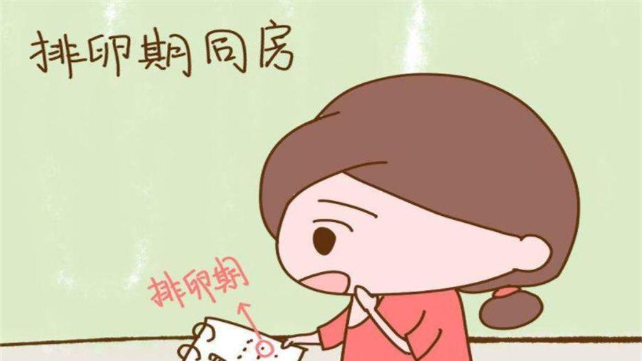 排卵期同房.jpg