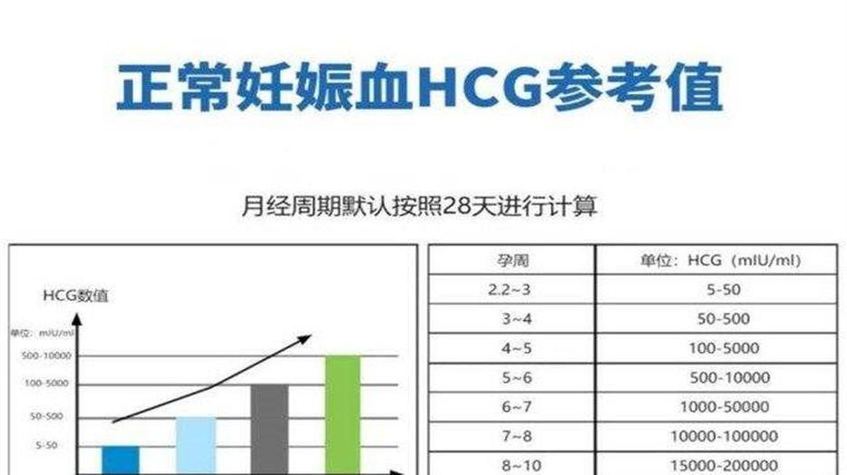 hcg翻倍.jpeg