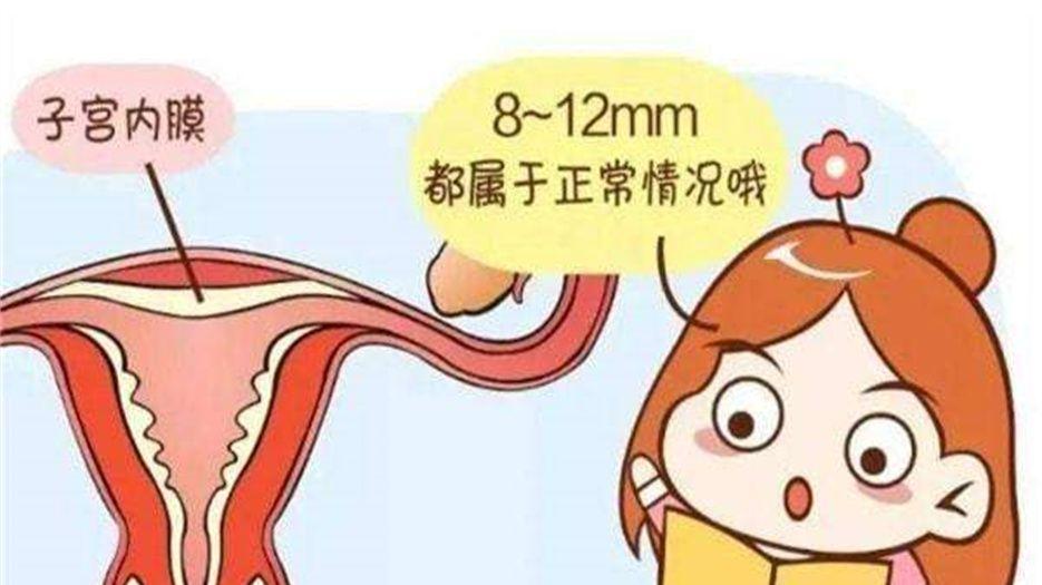 子宫内膜 (1).jpg