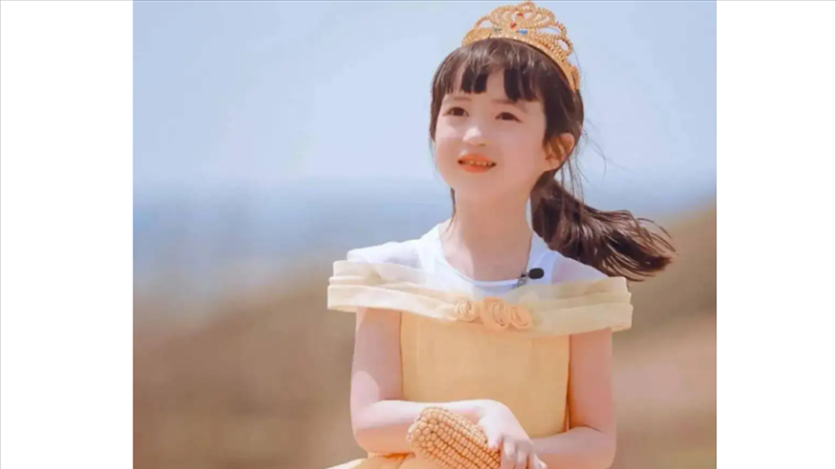 中加混血儿.png