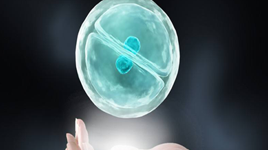 2022山东省不孕不育医院排名