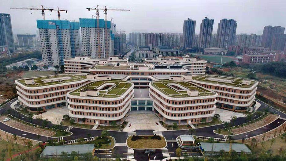 2022湖南省试管医院排名