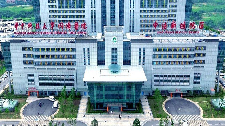 2022湖北省试管医院排名