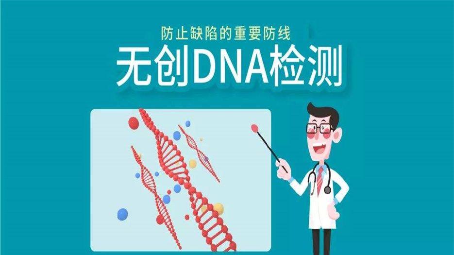 无创dna (1).jpeg
