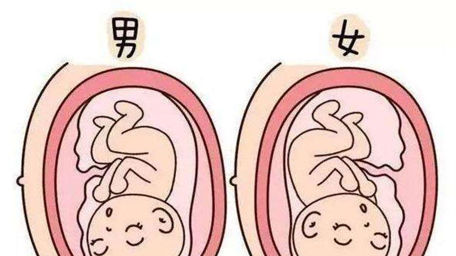 生男生女.jpeg