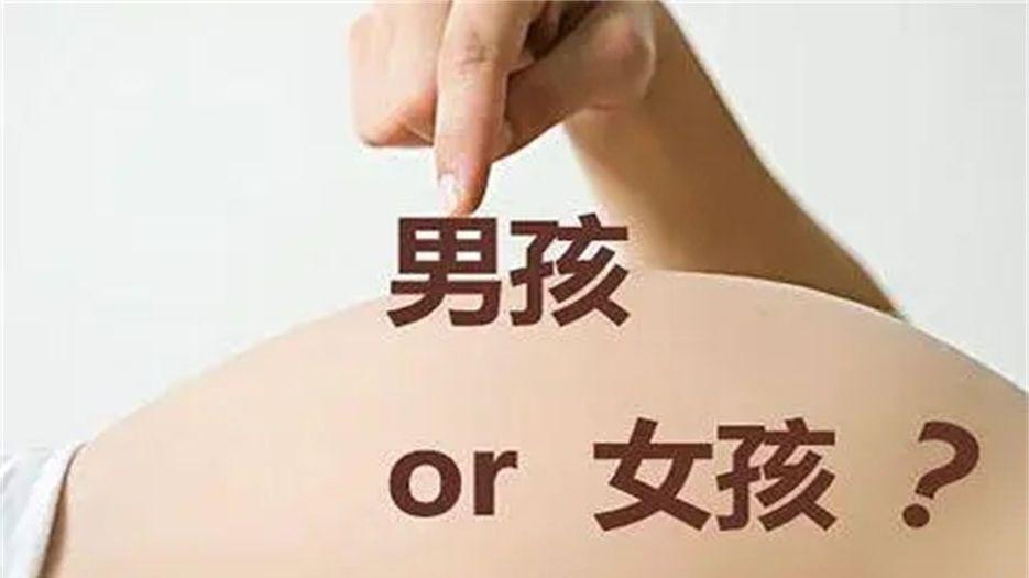 肾盂分离.jpg
