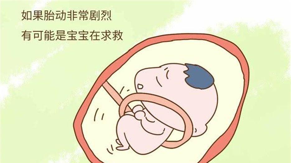 胎动 (1).jpeg