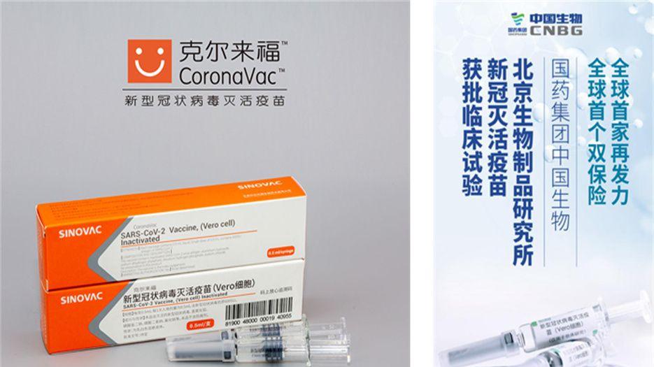 北京生物vero细胞.jpeg