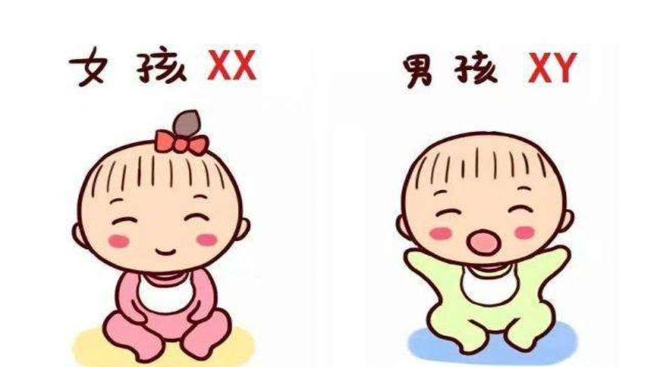 养囊成功的多半是男孩4.jpg