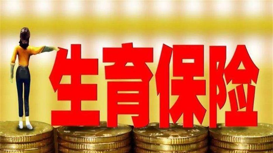 生育险 (1)_副本.jpeg