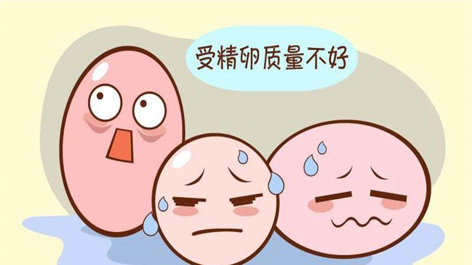 卵泡发育不好可以做试管吗1.jpg
