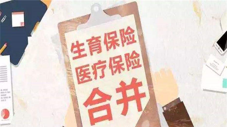 生育险 (2).jpeg