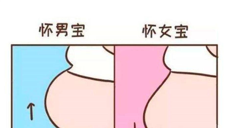 上怀和下怀的肚型图 (3).jpg