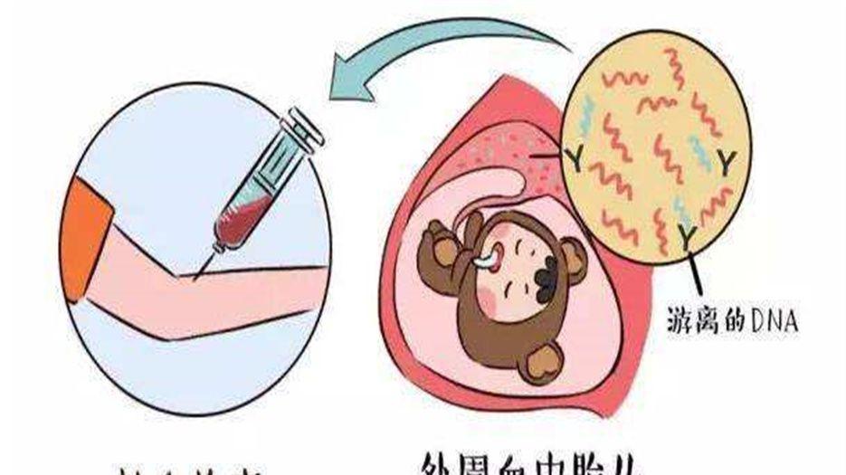 无创dna骗* (3).jpg