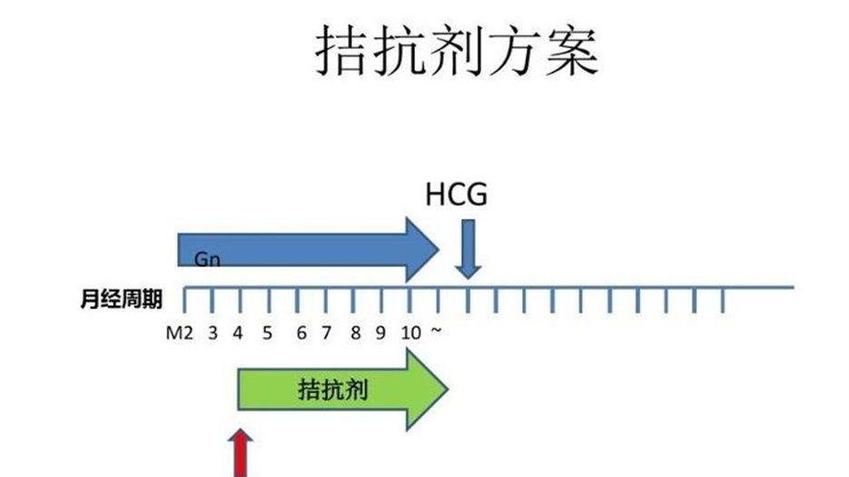 拮抗剂方案.jpg