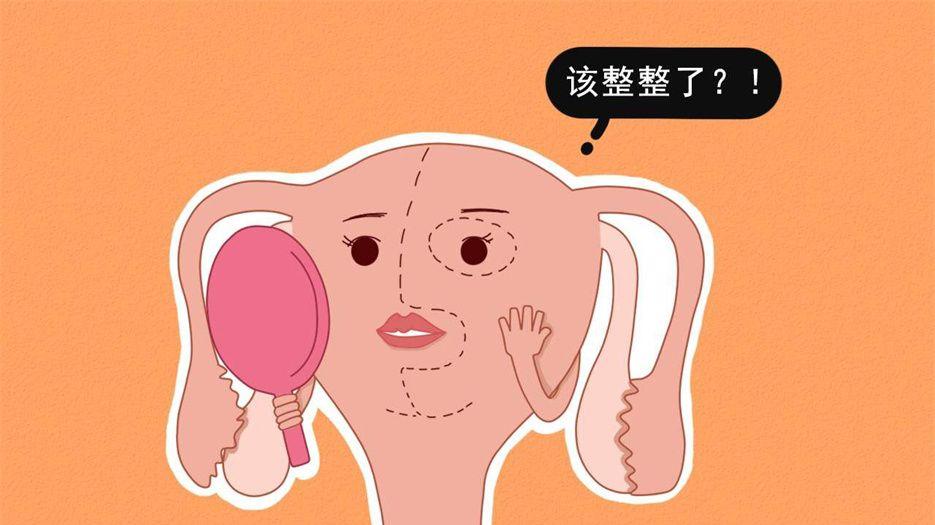 子宫2.jpg