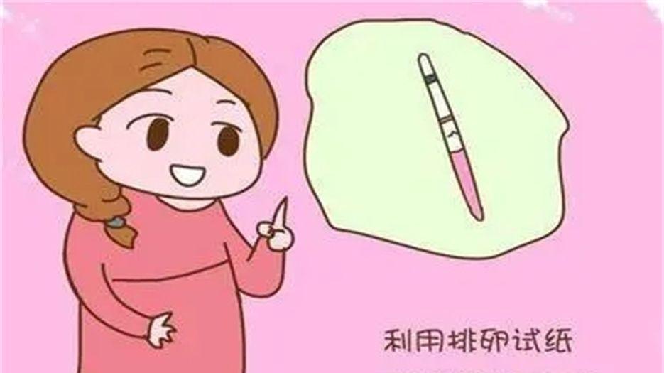 排卵试纸.jpg