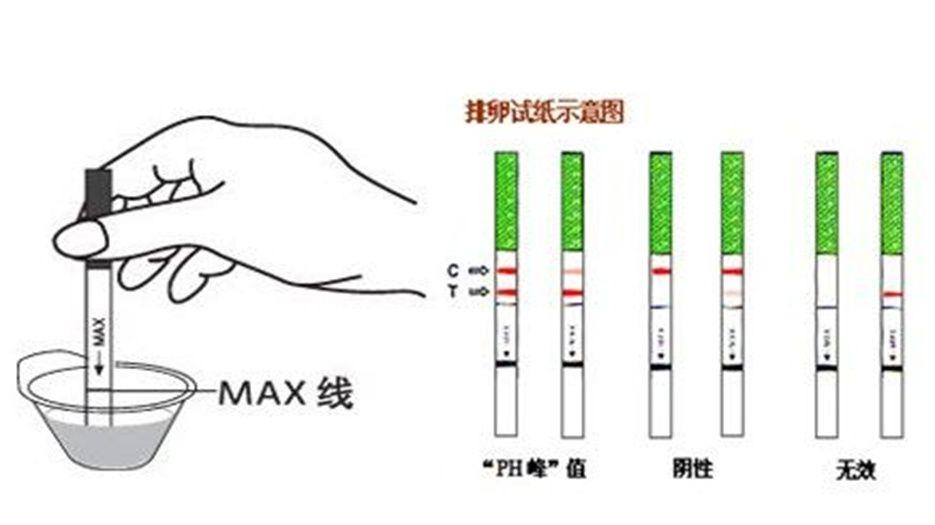 排卵试纸使用方法.jpg