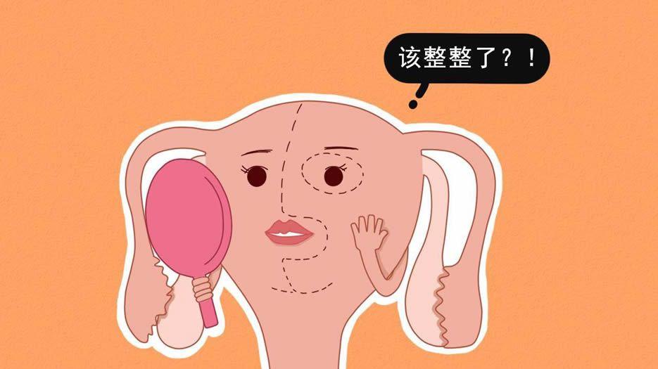 子宫