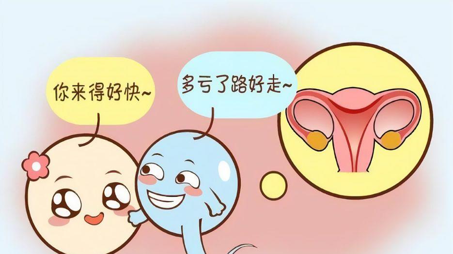 子宫环境