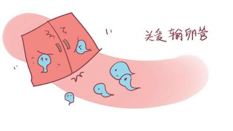 输卵管问题不孕