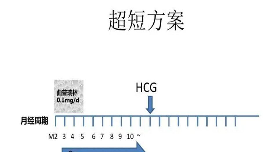 短方案