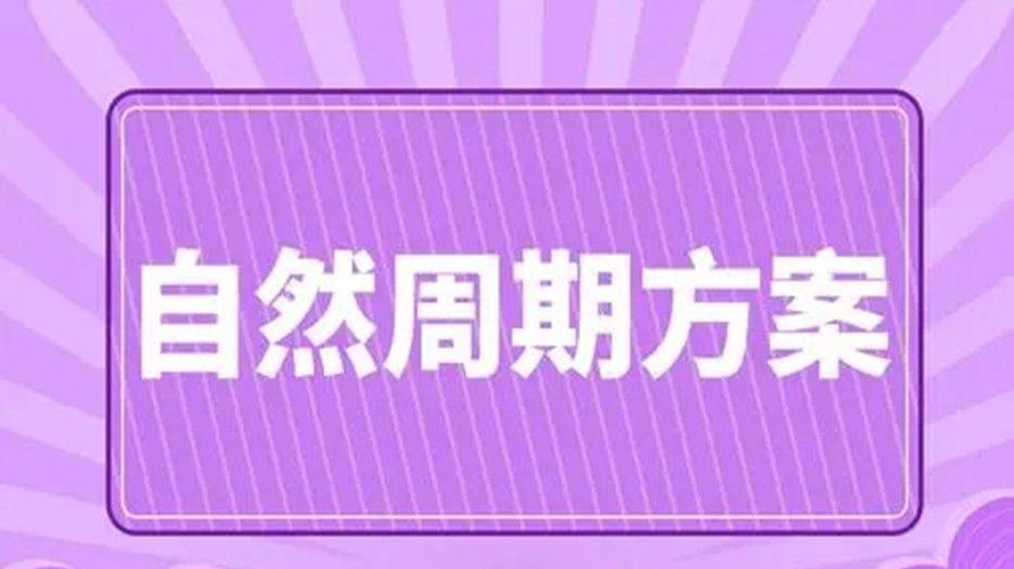 自然周期方案