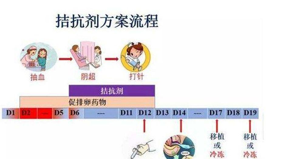 拮抗剂方案
