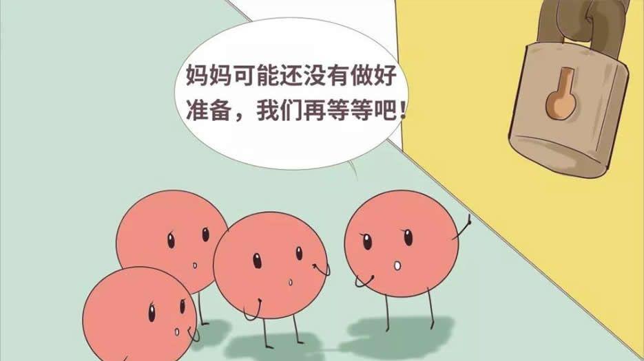 卵泡图片