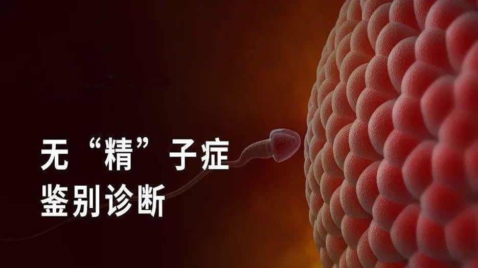 无精子症.jpg